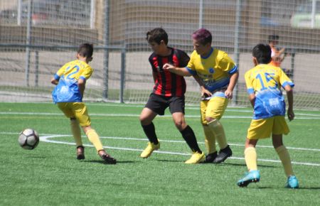 El Nueva Isla fue campeón en fútbol 7 alevín federado. 