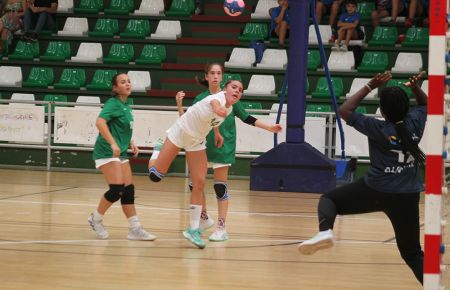 El Campeonato de Andalucía infantil de balonmano se celebrará en abril. 